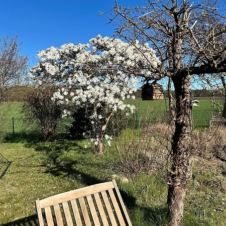 Bude In - Frisch Saniert In 2025 New New Burgwedel (Lower-Saxony)